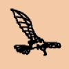 Da Vinci Fly